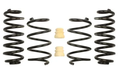 Комплект занижених пружин EIBACH E10-85-042-02-22