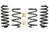 Комплект занижених пружин EIBACH E10-85-042-03-22 (фото 1)