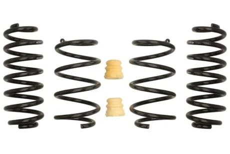 Комплект занижених пружин EIBACH E10-85-042-03-22