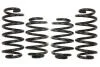 Комплект занижених пружин EIBACH E1559-140 (фото 1)