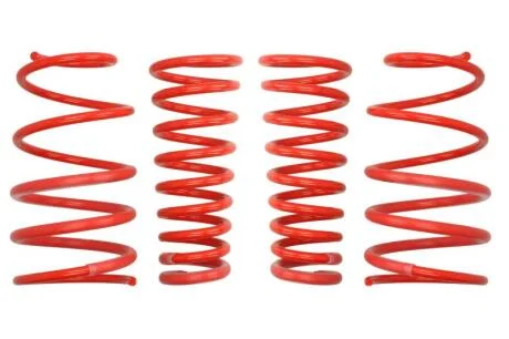 Комплект занижених пружин EIBACH E20-10-001-02-22