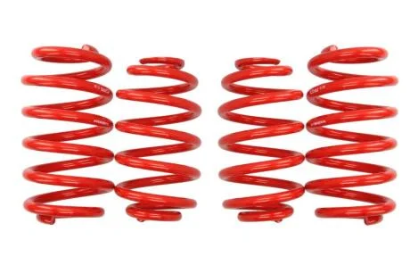 Комплект ходової частини, пружини EIBACH E20-15-003-05-22