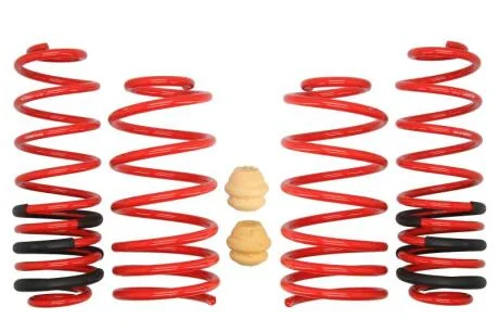 Комплект занижених пружин EIBACH E20-15-004-01-22