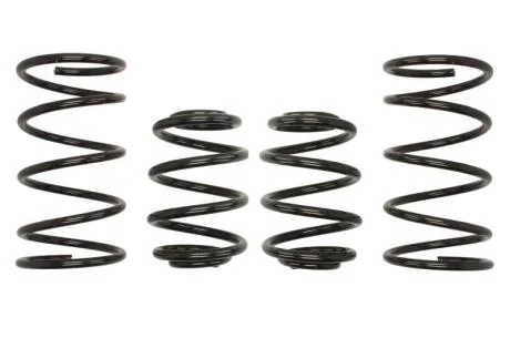 Комплект занижених пружин EIBACH E2019-140