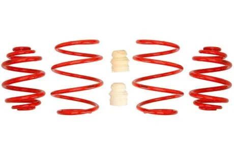 Комплект занижених пружин EIBACH E20-20-001-03-22