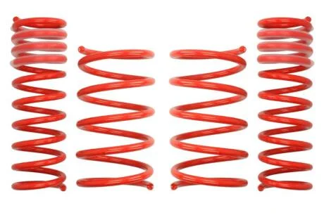 Комплект занижених пружин EIBACH E20-20-003-01-22