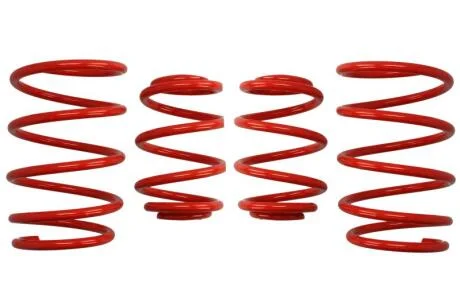 Комплект занижених пружин EIBACH E20-20-004-08-22