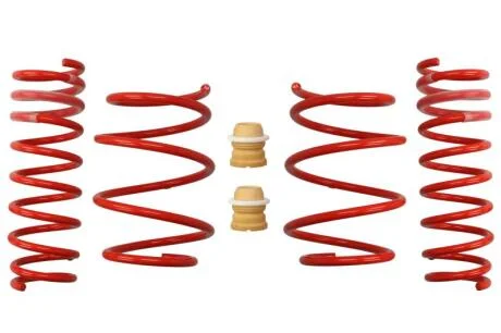 Комплект занижених пружин EIBACH E20-20-011-01-22