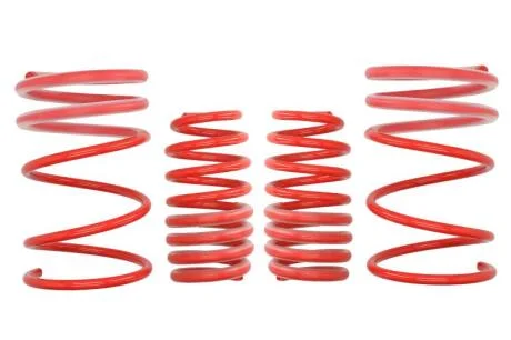 Комплект занижених пружин EIBACH E20-40-001-01-22