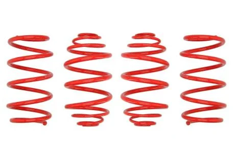 Комплект занижених пружин EIBACH E20-65-001-01-22