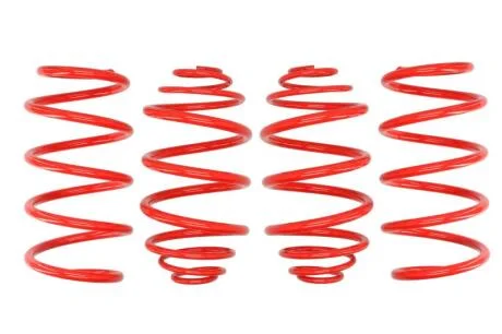 Комплект занижених пружин EIBACH E20-65-013-02-22