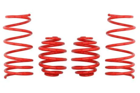 Комплект занижених пружин EIBACH E20-75-001-03-22