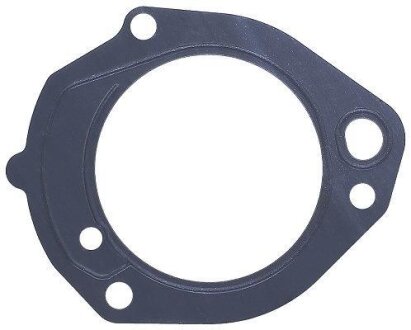 Прокладка паливного насоса MB Vario 4.3D 96- (9060910580) ELRING 002.070