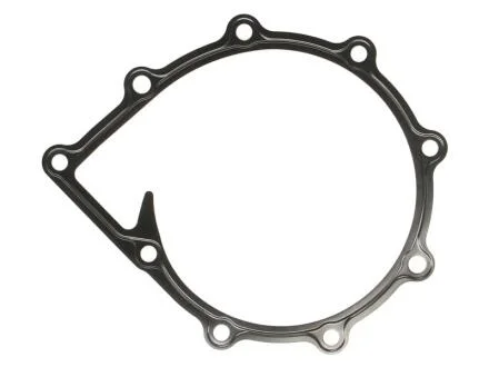 Прокладка водяного насоса (D2066/D2676) ELRING 021.250