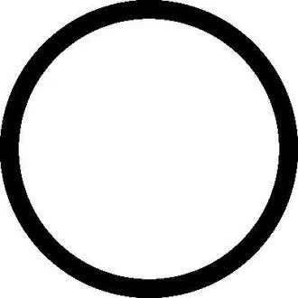 Уплотнительное кольцо коллектора EX (D2840/D2842) ELRING 153.210