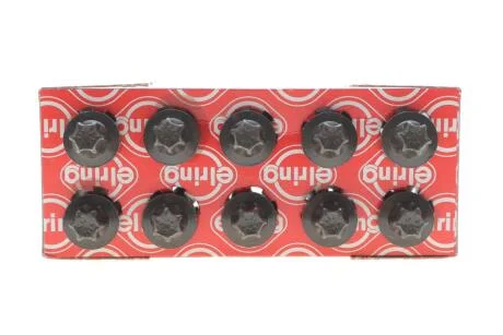 Болти головки блоку циліндрів (комплект) ELRING 249.200