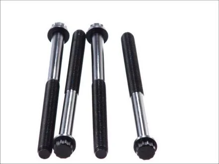 Болти головки блоку / К-Т БОЛТОВ ГБЦ (1 ЦИЛ) MB LKW OM457/OM458LA ELRING 258.610