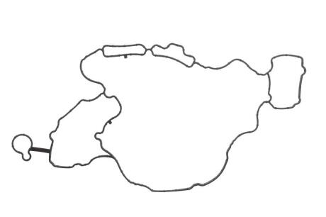 Прокладка клапанної кришки ELRING 308.210