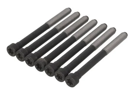 Комплект болтів головки циліндра ELRING 376.660