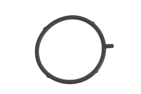 Прокладка системы охлаждения уплотнительная BMW 3 (E46/E90)/5 (E60) 02-11 N40/N42/N43/N45 ELRING 457.480