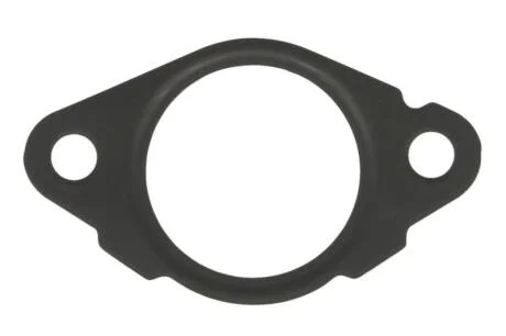 Прокладка натягувача ланцюга ELRING 484660