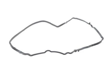 Прокладка кришки клапанів ELRING 527.780