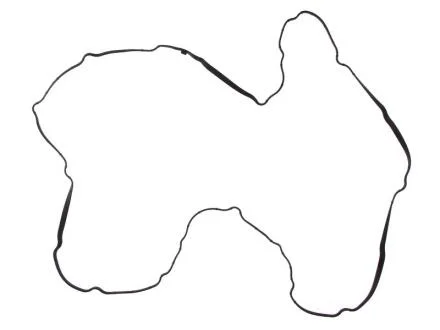 Прокладка крышки ГБЦ (F2BE) ELRING 569.400