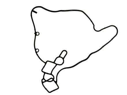 Прокладки двигуна / SCANIA ELRING 570.180