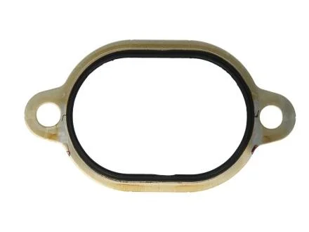 Прокладка фланца водопровода (OM4..) ELRING 680.271