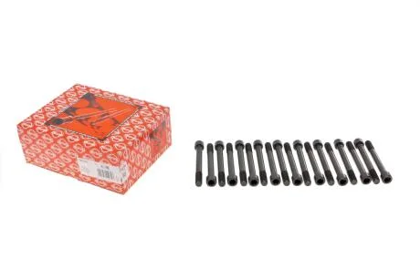 Болти головки блоку циліндрів (комплект) ELRING 709.310