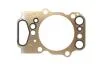 Прокладка головки блока циліндрів ELRING 740.331 (фото 1)