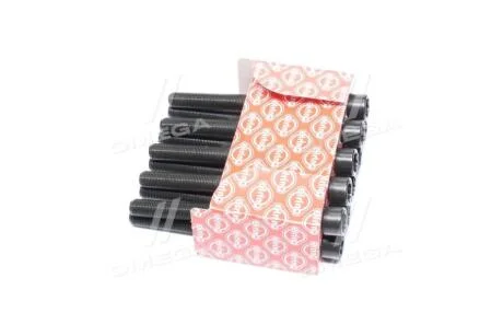 Болти головки блоку Fiat Ducato 1.9D/TD 88-94 (к-кт) ELRING 760.510