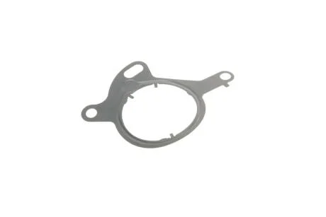 Прокладка насосу вакуумного ELRING 767.120