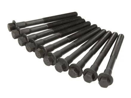 Комплект болтів головки цилідра ELRING 802.910