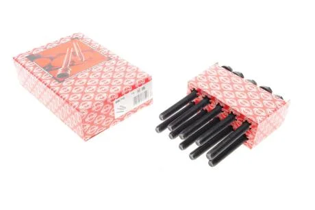 Болти головки блоку циліндрів (комплект) ELRING 806.710