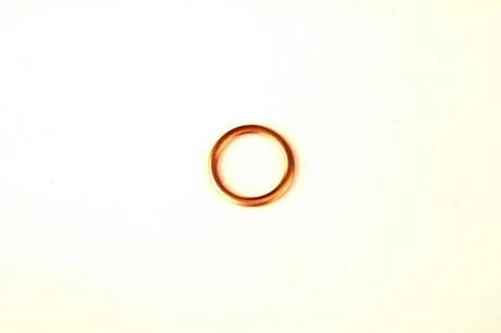 Прокладка болта масляного піддону (18x24x2) VOLVO 340-360 ARO 10 DACIA 1100, 1309, 1310, 1325, PICK UP FORD GRANADA, GRANADA II, SCORPIO I, SIERRA, SIERRA I, SIERRA II 1.0-2.5D 11.62-07.04 ELRING 813.087