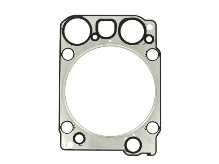 Прокладка головки блоку / Г/Б MB LKW OM501LA/OM502LA 96- (1 ЦИЛ) ELRING 862.562