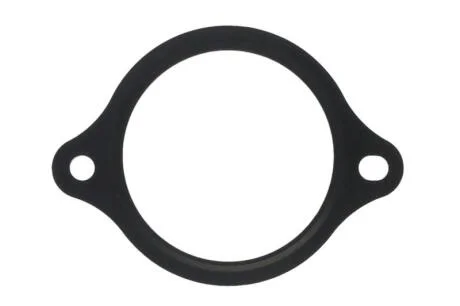 Прокладка термостату ELRING 876.140