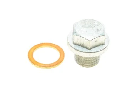 Пробка піддону картера + шайба (комплект) ELRING 877.980