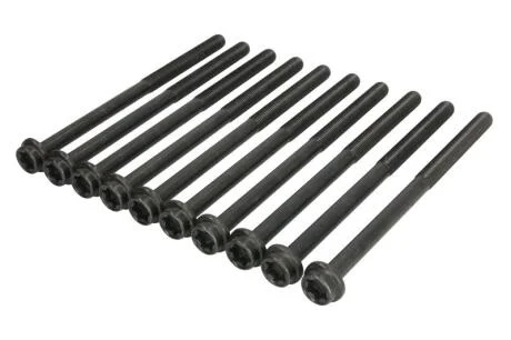 Болти головки блоку циліндрів (комплект) ELRING 966170