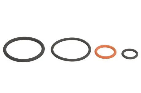 Комплект распылителя форсунки (резинки) (4 предмета) VW - Audi 1.4/1.9TDI 00- ENGITECH ENT280022