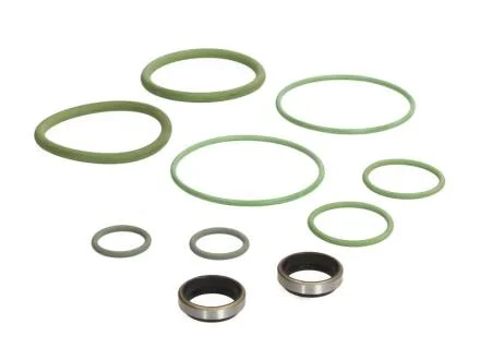 Комплект прокладок / КОМПЛЕКТ УПЛОТНИТЕЛЬНЫХ КОЛЕЦ, ЦИЛИНДРЫ КПП GR 801 EURORICAMBI 74530684