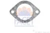 Уплотнительное кольцо термостата Opel Astra h 1.7 cdti (07-14) (7.9558) FACET
