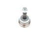 ШАРНИР RENAULT SAFRANE 2.0 12V 92 - RENAULT LAGUNA 1.8-2.0 КОМПЛ. FAG 771037630 (фото 8)