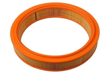 Повітряний фільтр FAST FT37073