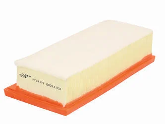 Повітряний фільтр FAST FT37177