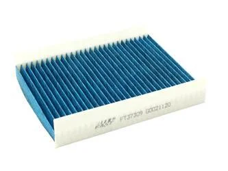 Фільтр, повітря у салоні FAST FT37309PM