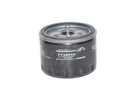 Фільтр масляний 1.6MPI 16V, 2.0MPI 16V, 1.8MPI 16V Fiat Doblo 00-09, Fiat Punto 03-10, Alfa Romeo 156 97-07 FAST FT38042