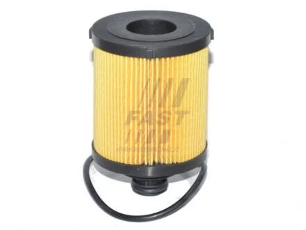 Фільтр масляний 1.3CDTI 16V, 1.3MJET 16V, 1.3TDCI 16V Fiat Doblo 09-23, Opel Astra H 04-14, Opel Combo C 01-11 FAST FT38068