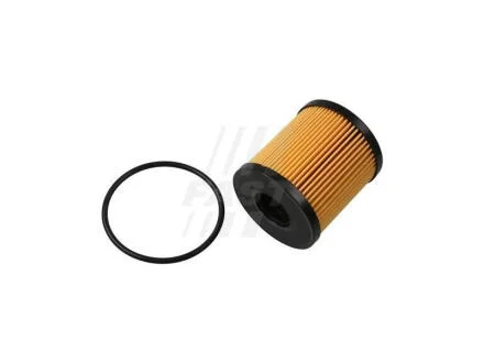 Фільтр масляний 1.6HDI 16V, 2.0HDI 8V, 1.6HDI 8V, 2.0HDI 16V, 1.6TDCI 8V Ford Focus III 11-18, Fiat Ducato 06-14, Citroen Berlingo 08-18 FAST FT38074